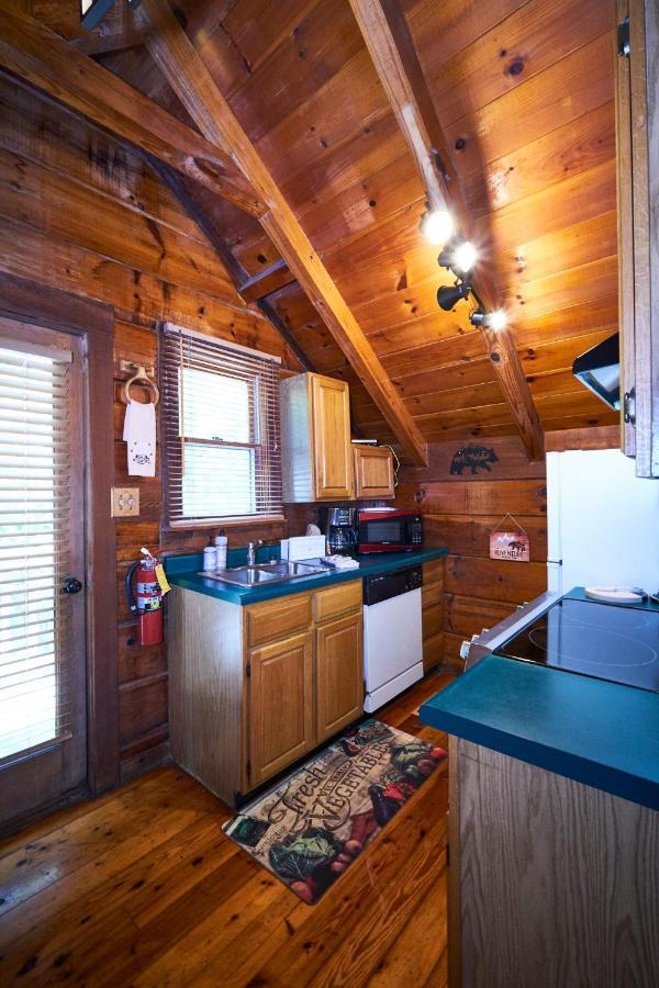 Gatlinburg Area Hottub Cabin - Ladyslipper Сивиървил Екстериор снимка