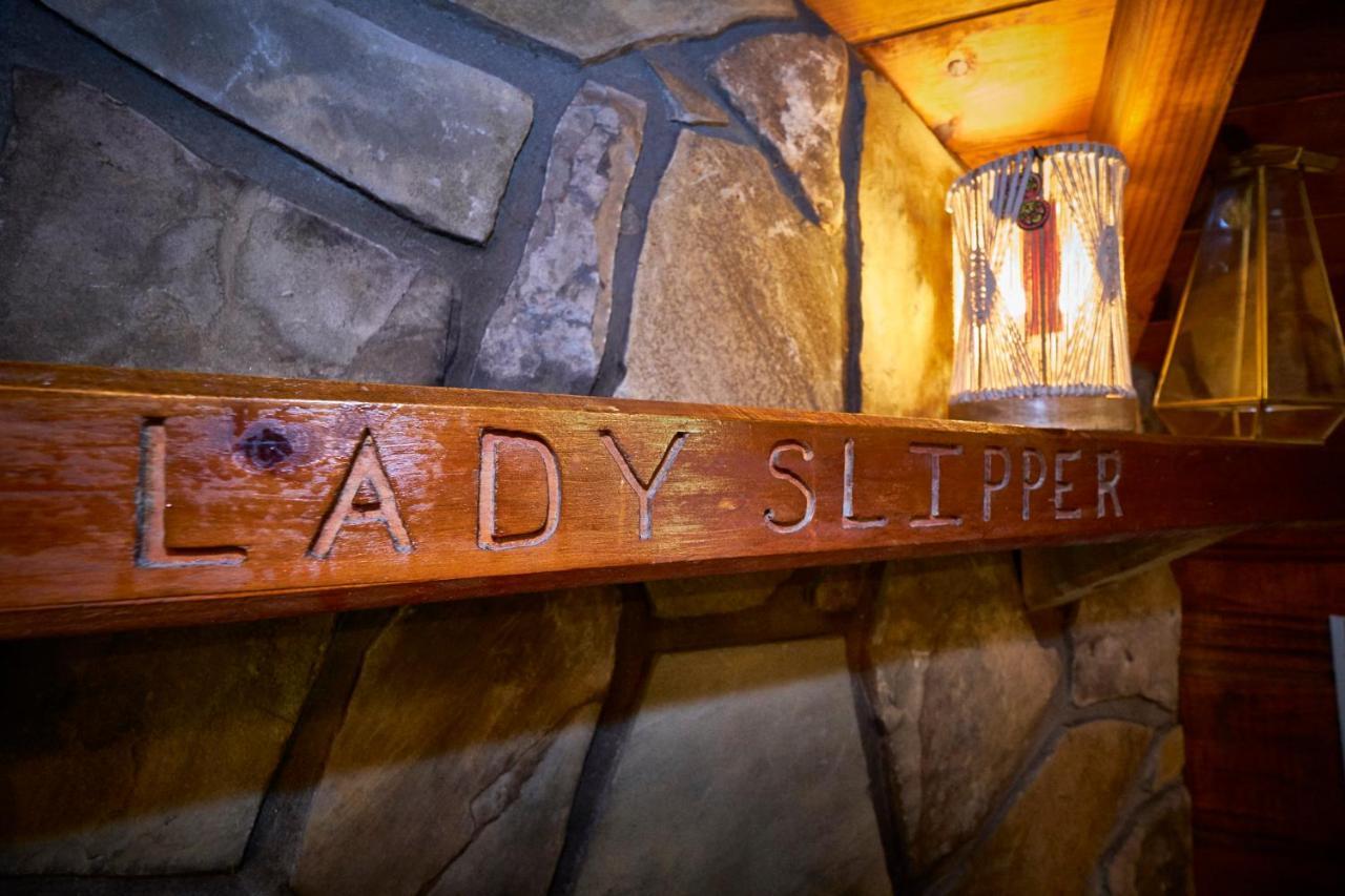 Gatlinburg Area Hottub Cabin - Ladyslipper Сивиървил Екстериор снимка